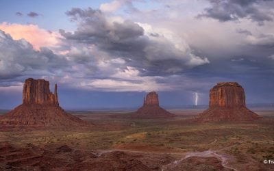 Photo Of The Day By Frances Feagin