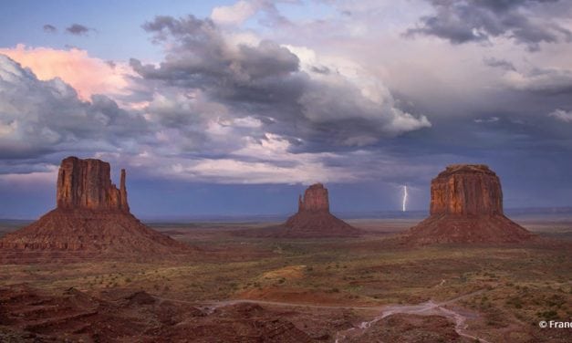 Photo Of The Day By Frances Feagin