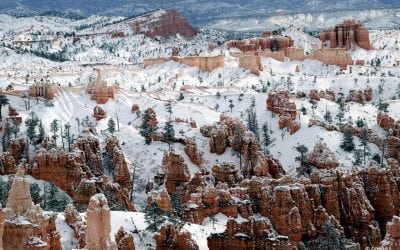 Photo Of The Day By Gosha L