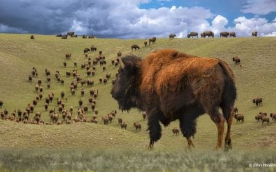 Photo Of The Day By John Hoskin