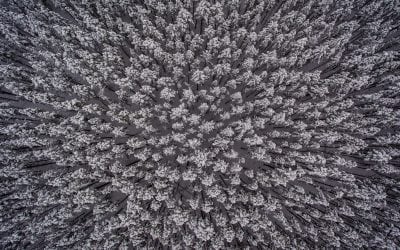 Photo Of The Day By Jordan Edgcomb