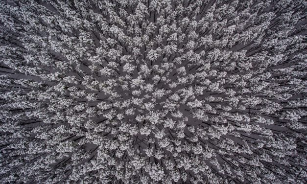 Photo Of The Day By Jordan Edgcomb