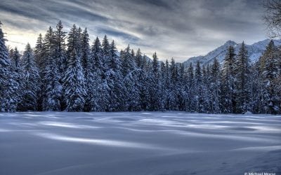 Photo Of The Day By Michael Morse