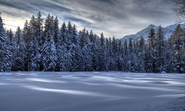 Photo Of The Day By Michael Morse