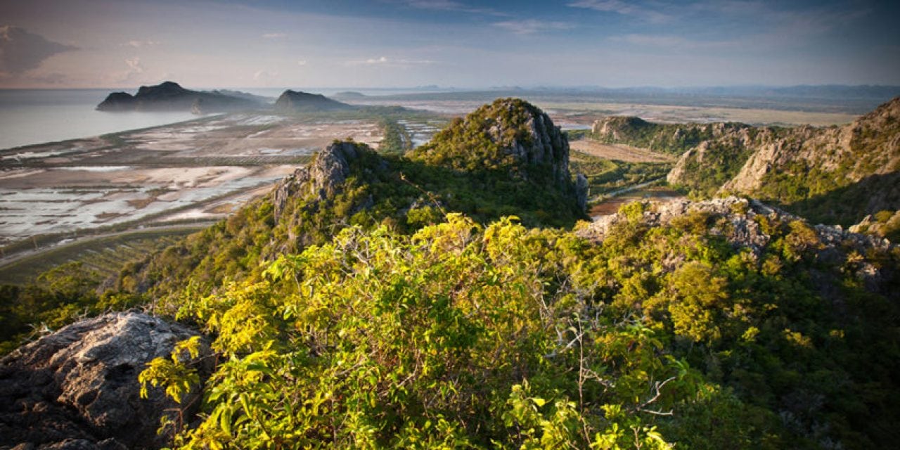 Photos That Make A Difference: 10 Guides To Conservation Photography