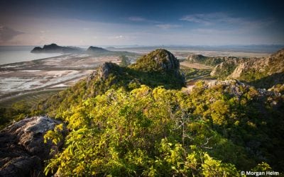 Photos That Make A Difference: 10 Guides To Conservation Photography