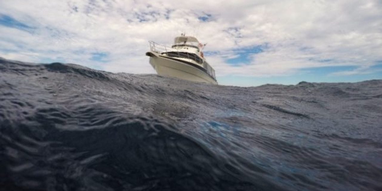 Picking the Right Deep Sea Fishing Charter For Your Group