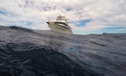 Picking the Right Deep Sea Fishing Charter For Your Group