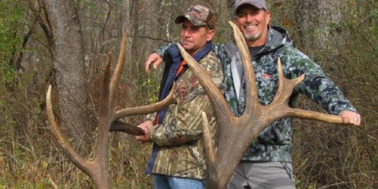 Pics: Does Pennsylvania Have a New Record Elk?