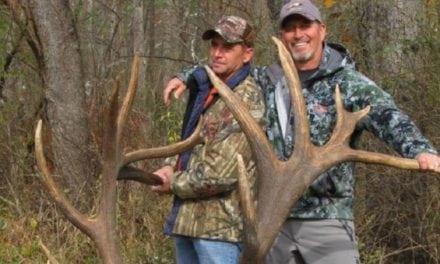 Pics: Does Pennsylvania Have a New Record Elk?