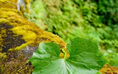 Random Bits Of Photo Education    