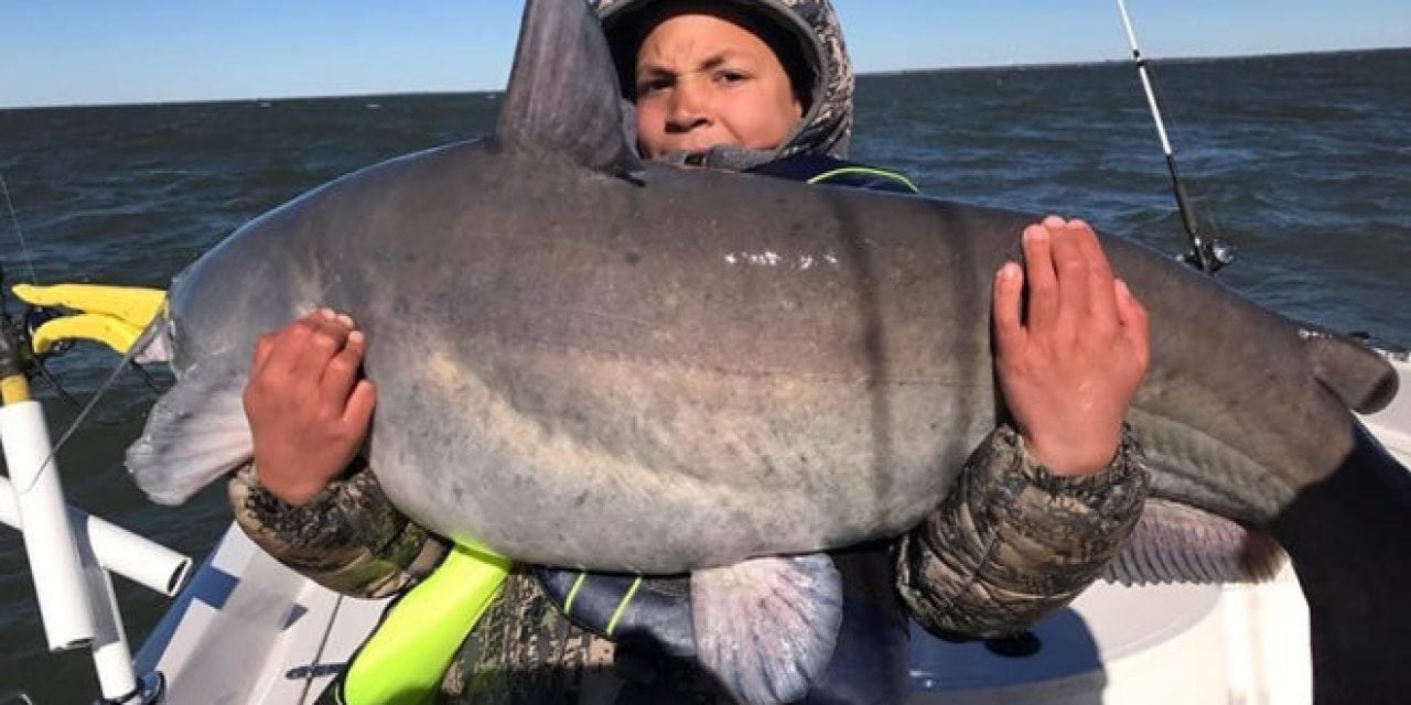 Record Breaking Catfish Catch Reeled In By 10-Year-Old Dylan Sorrells