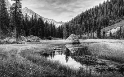 Showcase: November 2017