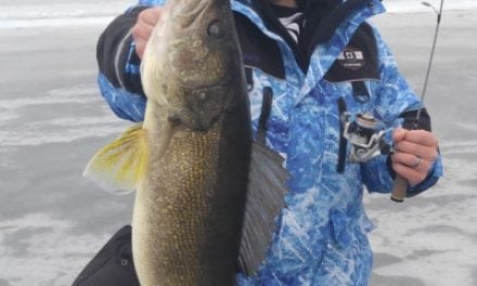 Snyder’s Lures Bag A Giant Walleye For Kyle Lynn