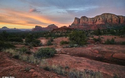 Sony a7R III Review: An Exceptionally Well-Rounded Camera