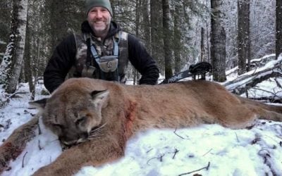 Steve Ecklund’s Killing of a Canadian Cougar Sparks Online Outrage