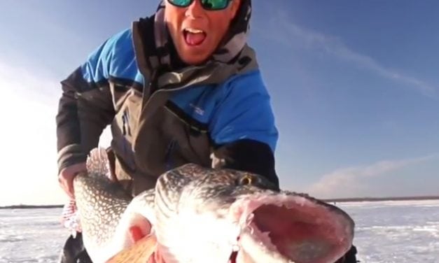 Super Leech Flutter Spoon – Best Big Spoon for Big Fish (Video)