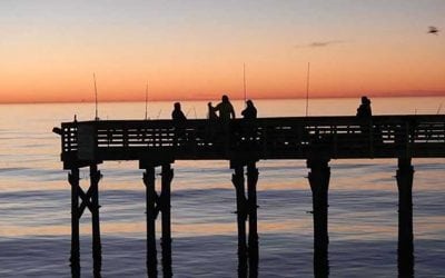 The 6 Best Places to Fish Saltwater in Galveston, Texas