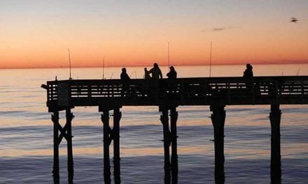 The 6 Best Places to Fish Saltwater in Galveston, Texas