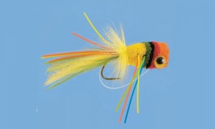 These 10 Flies Will Land You Monster Bass