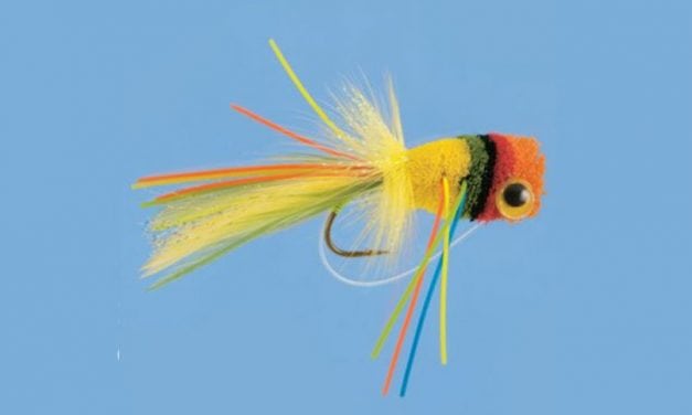 These 10 Flies Will Land You Monster Bass