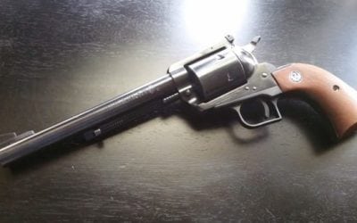 Top 5 Pistols for Deer Hunting