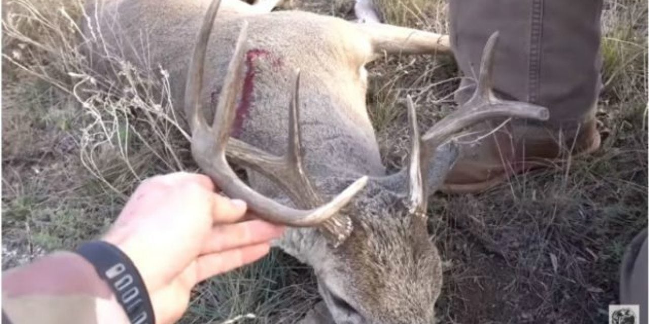 Video: Join Lunkers TV for a Texas Spot-and-Stalk Whitetail Hunt