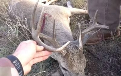 Video: Join Lunkers TV for a Texas Spot-and-Stalk Whitetail Hunt