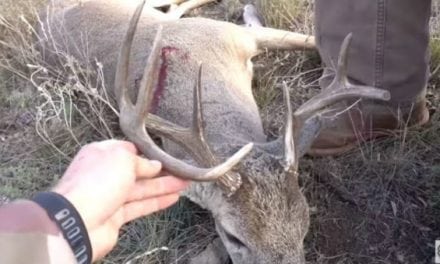 Video: Join Lunkers TV for a Texas Spot-and-Stalk Whitetail Hunt