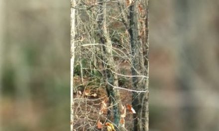 VIDEO: Opening Day Hunt Spoiled By Chainsawing Neighbor