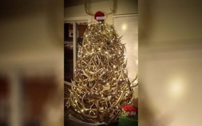 Video: This Awesome Shed Antler Tree Will Get You in the Christmas Spirit