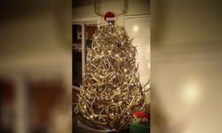 Video: This Awesome Shed Antler Tree Will Get You in the Christmas Spirit