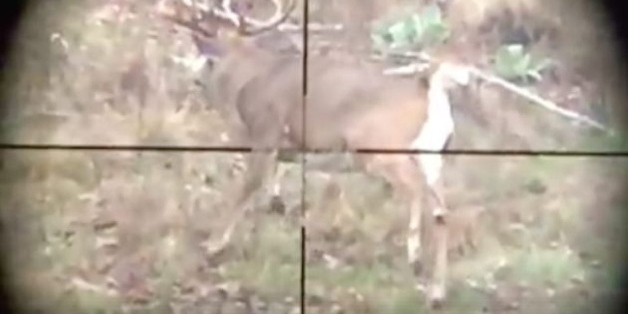 Video: Those Crosshairs Are There for a Reason…