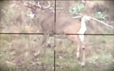 Video: Those Crosshairs Are There for a Reason…