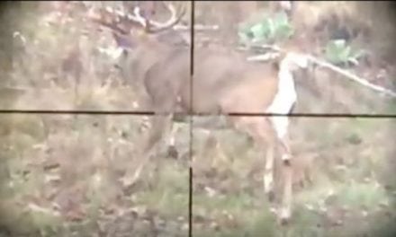 Video: Those Crosshairs Are There for a Reason…