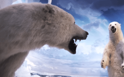 Vote to Help a Sportsman’s Paradise Win the USA Today “10 Best” Contest