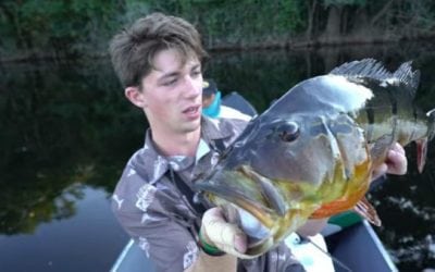 Watch: Jon B Goes After Monster Amazon River Peacock Bass
