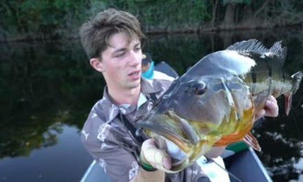 Watch: Jon B Goes After Monster Amazon River Peacock Bass