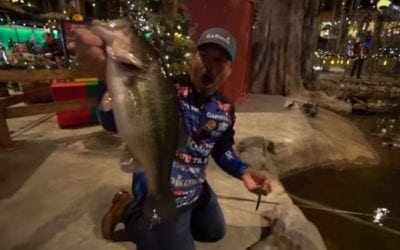 Watch: Scott Martin and Bill Dance Go Fishing…Inside the Bass Pro Shops Pyramid!