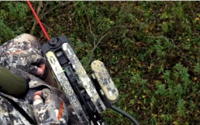What Time Should You Get in Your Stand?
