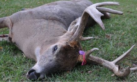 #WhitetailWednesday: I Didn’t Shoot a Deer This Year and It’s OK