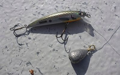 Winter Trout Slam: Winter On The White River