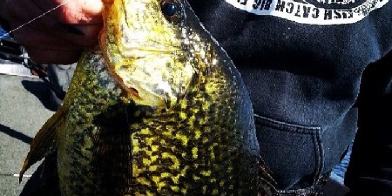 4 Tips for Finding and Catching Early Season Crappie
