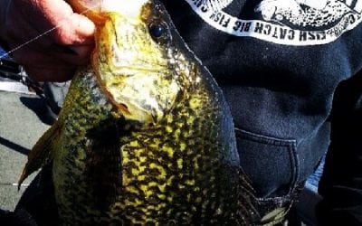 4 Tips for Finding and Catching Early Season Crappie