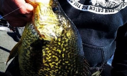 4 Tips for Finding and Catching Early Season Crappie