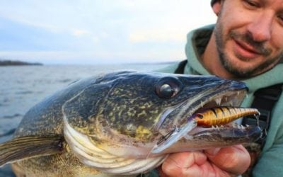 A Berkley Flicker Minnow… and My Double-Digit Trophy Walleye