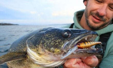 A Berkley Flicker Minnow… and My Double-Digit Trophy Walleye