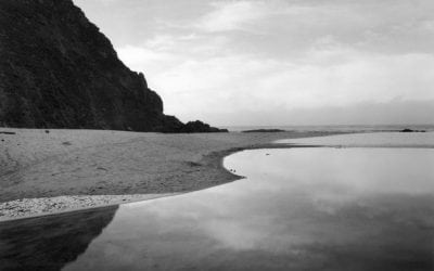 A Case for Black & White