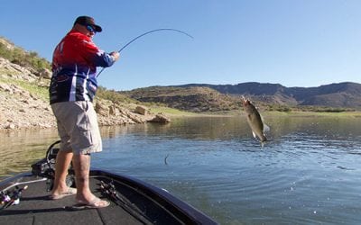 Adapting to Changing Patterns