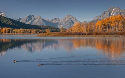 Backtrack For Success